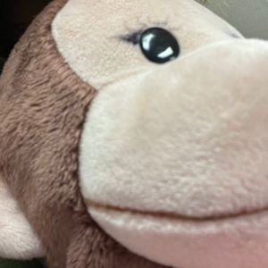 Meet your Posher, Eden